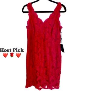 NWT Adrianna Papell Red Lace Petite Dress